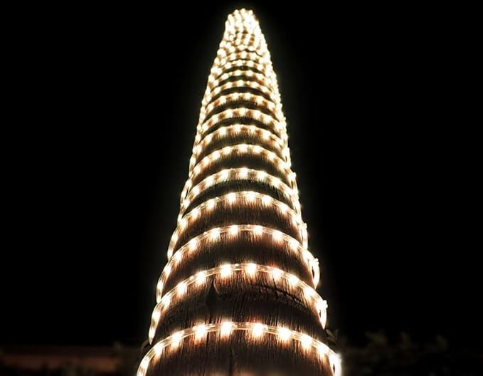 LED Rope Lights 100Feet 1080LEDs 120V Waterproof for Indoor Outdoor use IP65 for Party,Camping,Backyard,Fence,Fallway,Stairs,Pond,X'Mas Decoration,Patriot,Independence Day,4th of July(Warm white)