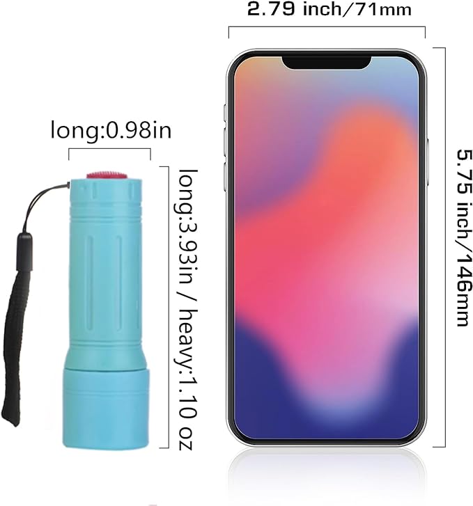 9-LED Mini Flashlight for Kids, Small Multicolor Flashlights with Lanyard, Batteries Included, for Hurricane Supplies Party Favors, Gift, Christmas Gifts Stocking Stuffers for Boys Girls