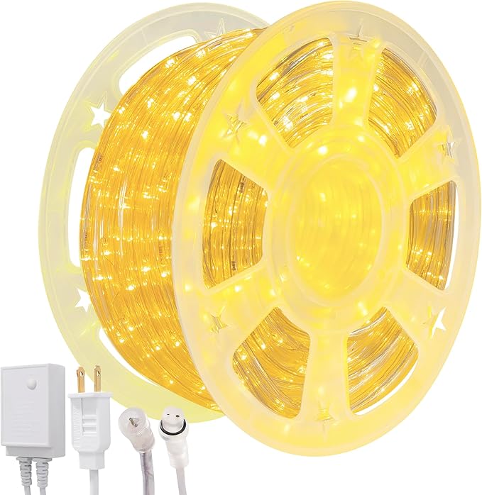 Waterproof LED Rope Lights, Connectable & Flexible with 8 Modes, Outdoor Lighting for Deck, Garden, Pool, Patio & Christmas Decor (Warm White, 100ft)