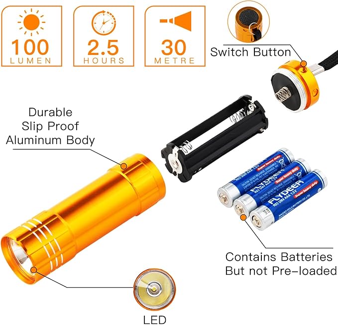 KunHe 30 Pack Mini Bulk Cheep Flashlights Aluminum LED Handheld Torches with Lanyard Batteries Included for Party Favors Camping Power Outage Emergency