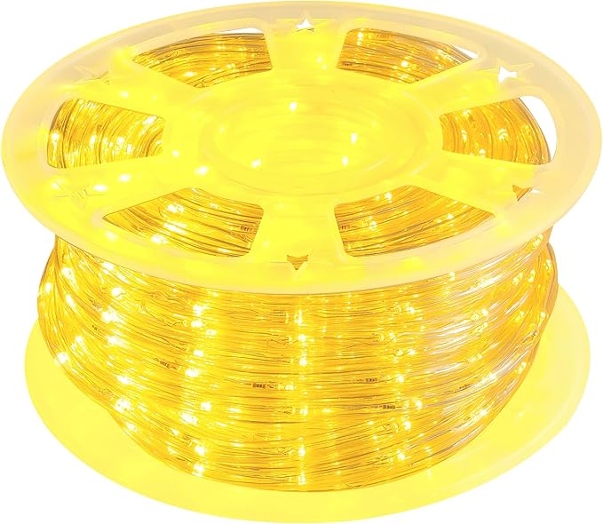 Waterproof LED Rope Lights, Connectable & Flexible with 8 Modes, Outdoor Lighting for Deck, Garden, Pool, Patio & Christmas Decor (Warm White, 100ft)