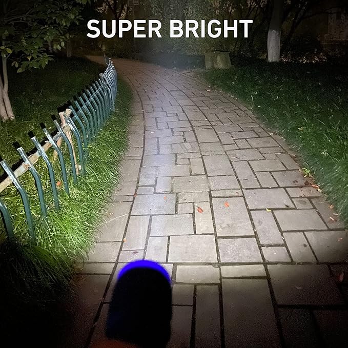 20-Pack Small Flashlights Set, Super Bright 100 Lumen LED Flashlight Pack with 60-Piece AAA Batteries Included, Mini Flashlight, Outdoor Flashlight for Camping, Hiking, Emergency